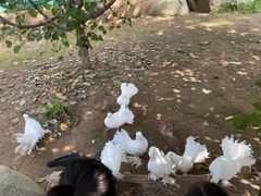 -北戴河集发农业梦想王国