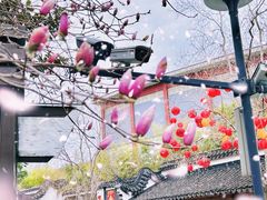 -三林塘老街
