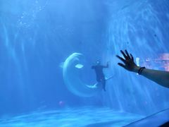 -多彩贵州城极地海洋世界