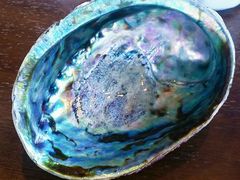 -同乐酒楼(皇后镇店)