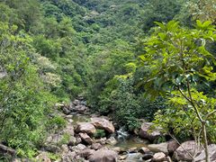 -广州白江湖森林公园