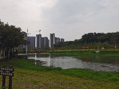 -金山植物公园