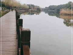 -艾溪湖湿地公园