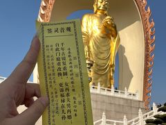 -庐山风景名胜区-东林大佛
