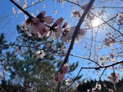 -滨河世纪广场公园