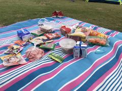 -吴淞炮台湾湿地森林公园烧烤区