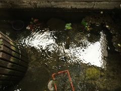 -泉乐坊步行街(烟酒特产平价超市店)