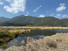 -腾冲北海湿地