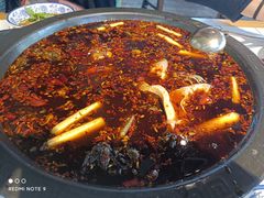 -费明中罗非鱼(大石坝店)