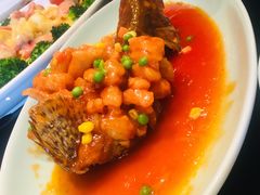 松鼠桂鱼-新南华大酒店(长寿店)