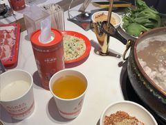 -董记老清泉·鲜切涮羊肉(窑岭店)