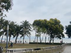 -深圳湾公园(南山区)