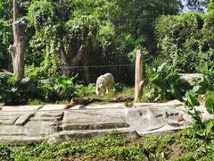 -广州长隆野生动物世界