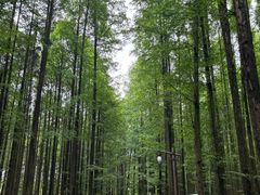 -山王坪喀斯特国家生态公园