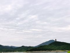 -望湖烤鱼