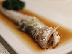 -子福慧(虹桥店)
