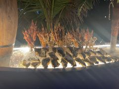 -亚龙湾希尔顿自助餐厅·海鲜·烧烤·沙滩BBQ·现场乐队