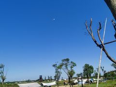 -春花秋色城市公园