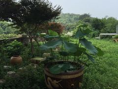 -亮河湾山庄