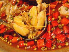 -新哥老官·畅吃123·美蛙世界(苏宁广场店)