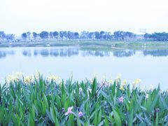 -光明小镇欢乐田园