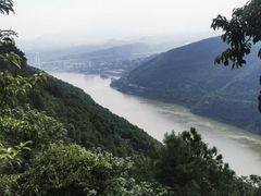 -铁山坪森林公园