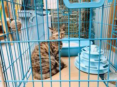 -猫的天空之城概念书店(苏州平江店)