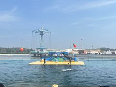 -秦皇岛乐岛海洋王国