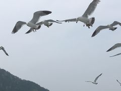 -棒棰岛宾馆景区