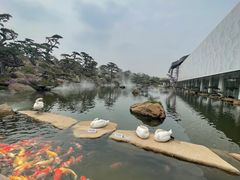 -罗红摄影艺术馆