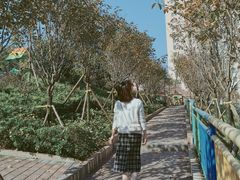 -石井坡(地铁站)