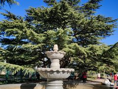 -国家植物园南园