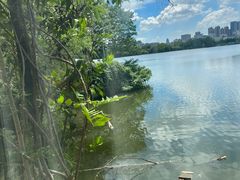 -东湖食堂·湖景餐厅•会议