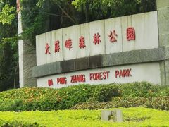 -大屏嶂森林公园