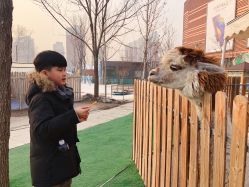 -萌宠亲子动物乐园(槐房万达店)