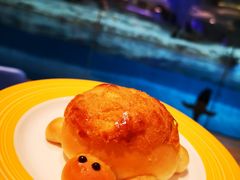 -帝企鹅自助餐厅•儿童岛•真企鹅(长隆企鹅酒店)