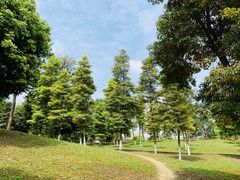 -白鹭湾湿地公园