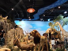 -陕西自然博物馆