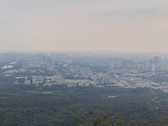 -紫金山天文台