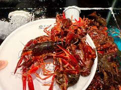 -苏格里岛自助烤肉海鲜火锅(成都金牛万达店)