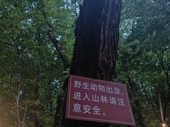 -杭州黄龙洞