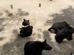 -西安秦岭野生动物园