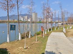 -飞来湖湿地公园