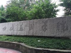 -黄桷坪涂鸦艺术街