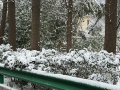 -秦岭终南山世界地质公园翠华山景区