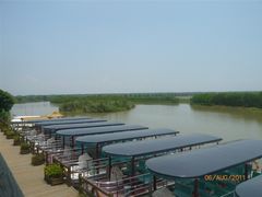 -大湾区中央湿地公园
