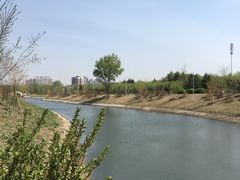 -长春公园(普阳街道)