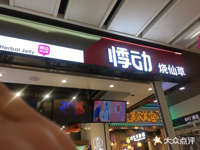 悸动烧仙草(九洲新世界店)图片