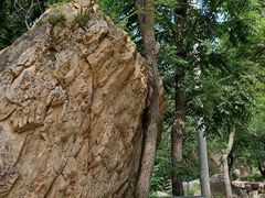 -湖洞水自然风景区