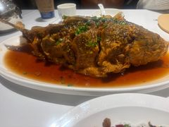 -金春禧(世茂国际广场店)